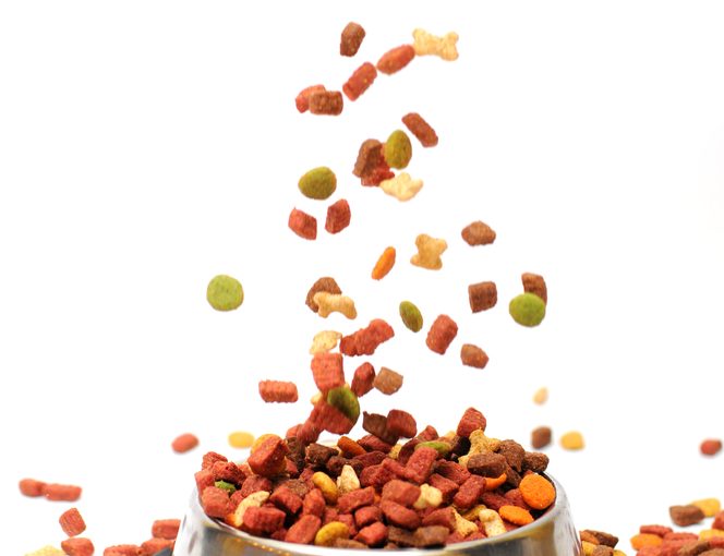 Finding a Nutritionally Balanced Dog Food